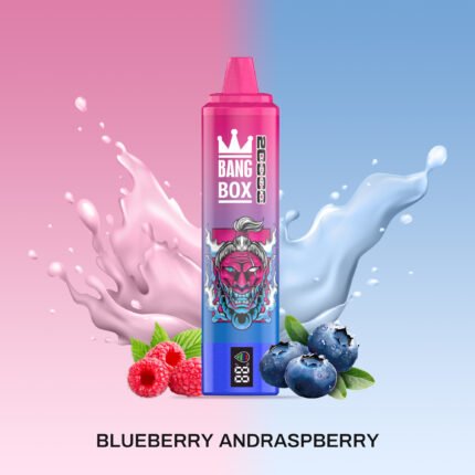 BANG BOX 20000 Puffs Double Flavor Disposable Vape - Blueberry Sour Raspberry Ice