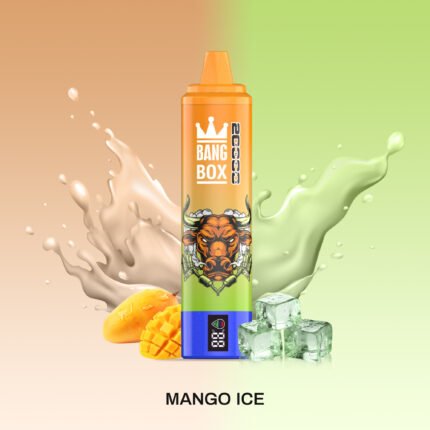 BANG BOX 20000 Puffs Double Flavor Disposable Vape - Mango Ice