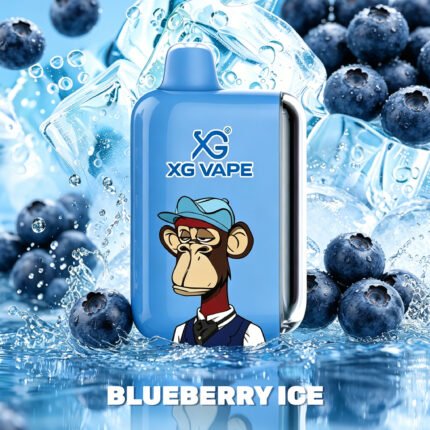 Blueberry Ice-25000 Puffs Disposable Vape